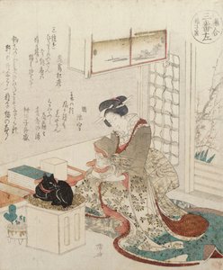一个有两只猫的女孩
