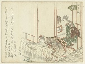 切菜的女人