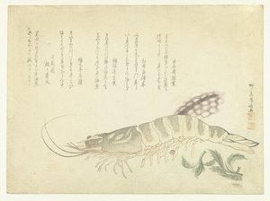螯虾和墨鱼 作者 梦斋 板贯