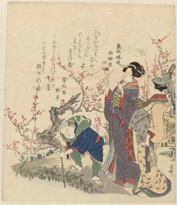 池塘边的花朵 作者 龙宫京心斋