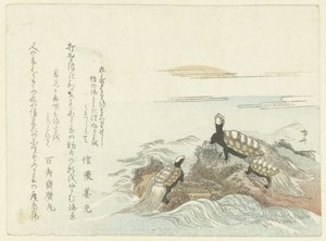 岩石上的乌龟 作者 龙宫京心斋
