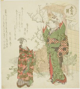 黄色（Ki），选自 "五色（Goshiki no uchi）"系列