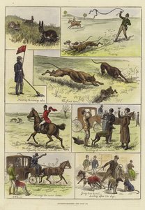 Coursing Matches