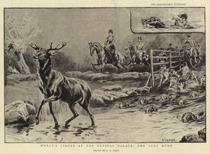 Wulff在水晶宫的马戏团，Stag Hunt