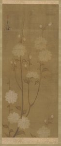 下垂的樱花，江户时代，18世纪中叶至19世纪初。 作者 酒井保一