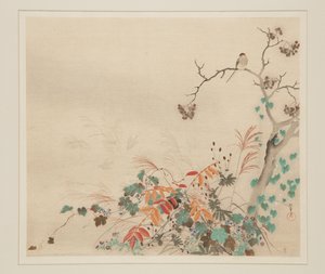 植物上的鹰（彩色木版画） 作者 酒井保一