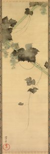 葡萄藤 作者 酒井O