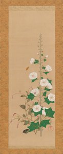 蜀葵和王子羽毛花，十九世纪初。 作者 酒井O
