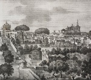 意大利普利亚梅萨涅东景，Salvatore Puglia 石版画，Poliorama Pittoresco，n 45，6 月 15 日