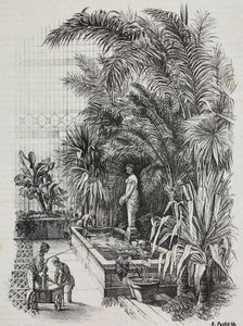 拉奥孔和他的儿子们，罗马雕像，萨尔瓦多·普利亚版画，来自 Poliorama Pittoresco，n 1，8 月 13 日 作者 Salvatore Puglia