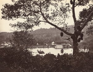 从上湖路偷看，显示寺庙和岛与公园--前景是果树，约1865年。 作者 塞缪尔·伯恩