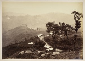 大吉岭 Teendari 集市，选自《大吉岭风景》，1860 - 1880 年（黑白照片） 作者 塞缪尔·伯恩