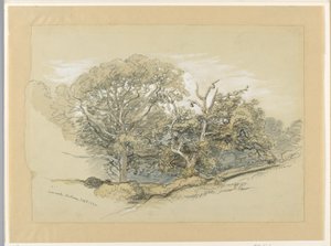 绘画，纽约蒙托克橡树林，1880 年 9 月 8 日 作者 塞缪尔·科尔曼（Samuel Colman）