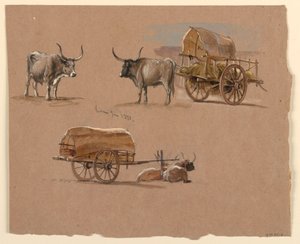 绘画，牛车，意大利罗马，1873 年 1 月