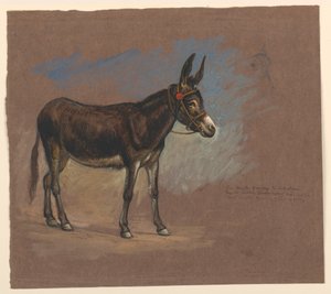 素描，研究。骡子，1872-75 年 作者 塞缪尔·科尔曼（Samuel Colman）