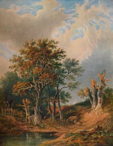 景观，1847年 作者 塞缪尔·戴维·科凯特