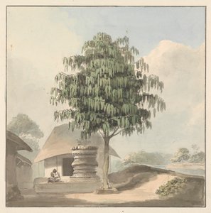 圣人坐在树下的基座附近 作者 塞缪尔·戴维斯（Samuel Davis）