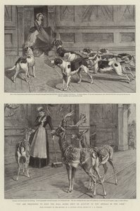由于公园里的动物（石版画），请您关闭大厅的门 作者 塞缪尔·埃德蒙（Samuel Edmund）（后）沃勒（Waller）