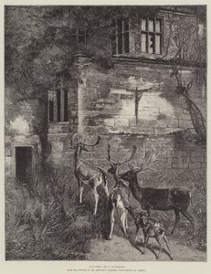 闹鬼 作者 塞缪尔·埃德蒙·沃勒