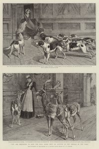 您需要在公园内的动物帐户中关闭大厅门 作者 Samuel Edmund Waller