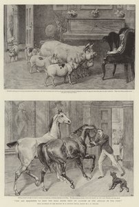 您需要在公园内的动物帐户中关闭大厅门 作者 Samuel Edmund Waller