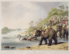 从东方体育运动，酒吧追逐一条横跨河的老虎。作者：Edward Orme，1807（印刷品）