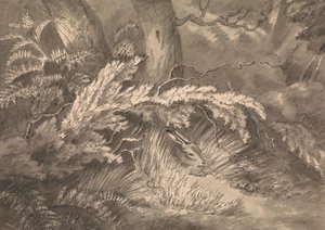 树林边缘的野兔 作者 塞缪尔·豪伊特