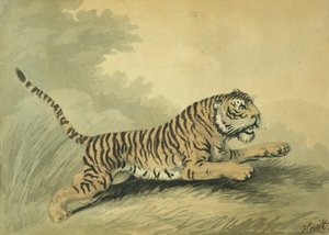 一只母老虎向右跳跃，1807