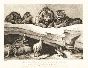 动物之间的法庭，狮子和老虎担任法官。1811年（蚀刻版画） 作者 塞缪尔·豪伊特