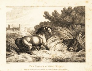 一匹马和野猪在牧场上对峙。 1811（蚀刻） 作者 塞缪尔·豪伊特