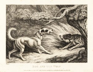 一只戴着项圈的家犬向一只饥饿的狼提供食物。1811年（蚀刻版画） 作者 塞缪尔·豪伊特