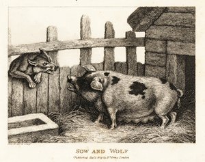 猪圈里的一头大母猪正在对狼咆哮。 1811（蚀刻）