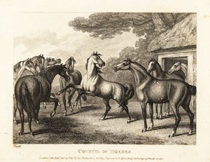 一匹小马驹试图在马厩里煽动叛乱。1811年（蚀刻版画） 作者 塞缪尔·豪伊特