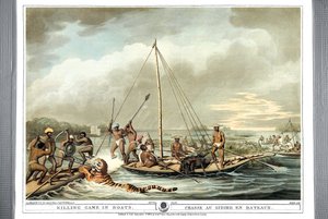 1806年的船上杀船游戏 作者 塞缪尔·豪伊特