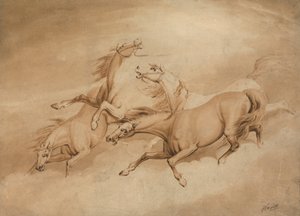 四匹奔马 作者 塞缪尔·豪伊特