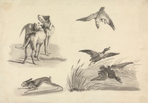 猎犬、野兔、猎鹰和鸭子研究表 作者 塞缪尔·豪伊特