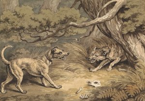 狗与狼 作者 Samuel Howitt