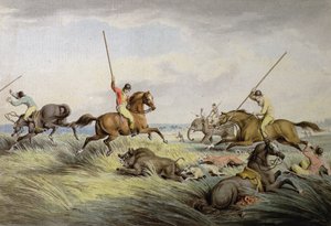 The Hog Chase  -  The Huill，来自&39;Orme&39;s Collection of British Sporting Prints&39;，1822 作者 塞缪尔·豪伊特