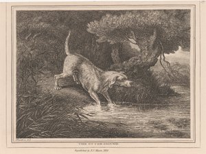 水獭猎犬 作者 塞缪尔·豪伊特