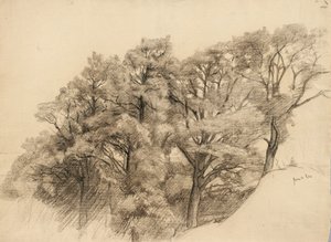 树木景观，1884年（浅黄色纸上的木炭）