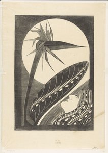 盛开的石莲花 作者 塞缪尔·杰苏伦·德·梅斯基塔
