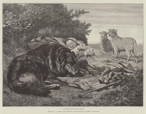 他第一次参观羊群，参加油画家画廊展览