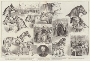 皇家农业协会在诺威奇举行的会议上的草图 作者 Samuel John Carter