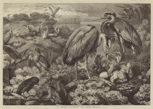 诺福克郡迪丁顿公园的Heronry 作者 塞缪尔·约翰·卡特