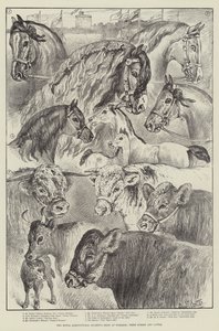 温莎皇家农业协会展，奖马和牛 作者 Samuel John Carter