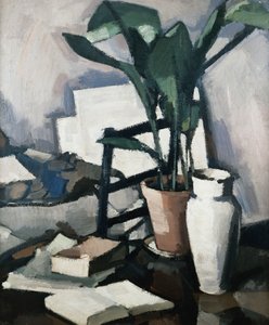 Aspidistra，c。 1924年 作者 塞缪尔·约翰·佩普洛