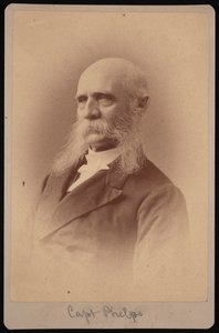 塞斯-莱迪德-菲尔普斯的肖像，1824-1885年，1878年。
