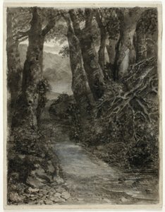 林地研究 作者 塞缪尔·帕尔默（Samuel Palmer）