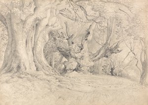 古树，卢灵石公园 作者 塞缪尔·帕尔默（Samuel Palmer）
