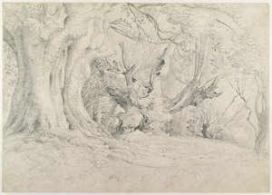 古树，Lullingstone公园，1828年（石墨在纸上） 作者 塞缪尔·帕尔默（Samuel Palmer）